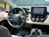 Toyota Corolla XLE 2026